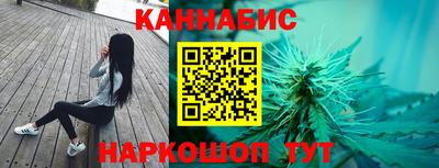мдпв Камышлов