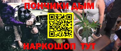 мдпв Камышлов