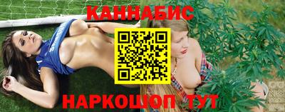 мдпв Камышлов