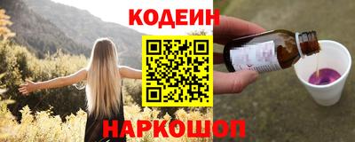 мдпв Камышлов