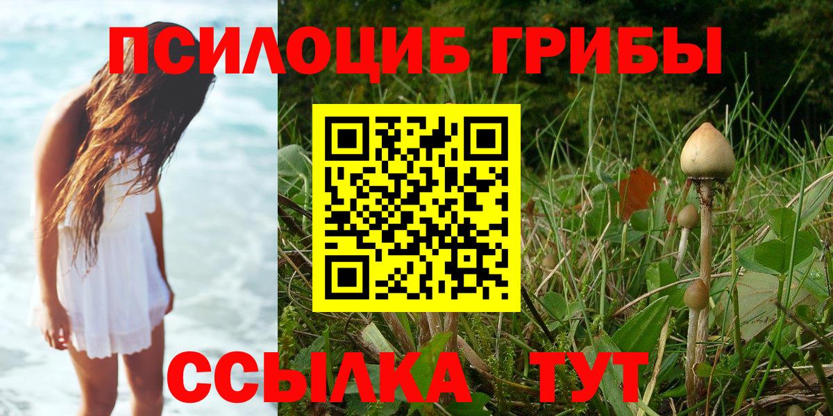 Галлюциногенные грибы Cubensis  Галлюциногенные грибы Psilocybe  Вход с VPN  Люберцы 