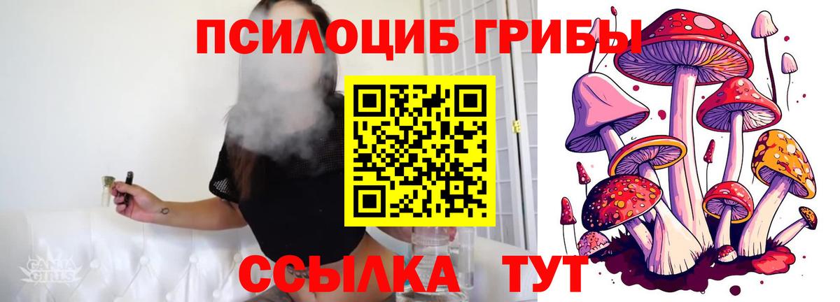 Галлюциногенные грибы ЛСД Люберцы